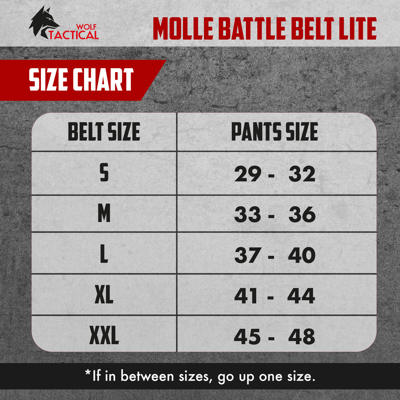 Molle Battle Belt Lite